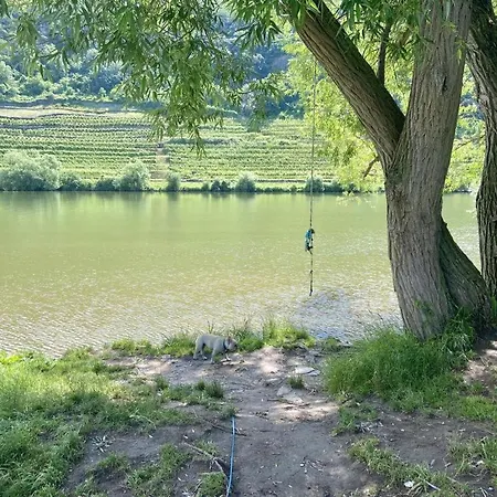 Lieblingsplatz Holiday home *