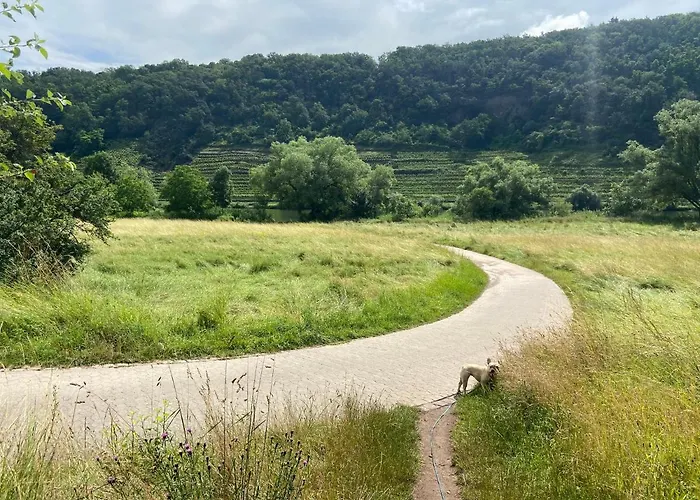 Lieblingsplatz コブレンツ