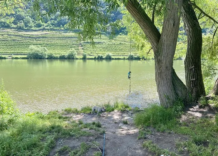 Lieblingsplatz 別荘 *